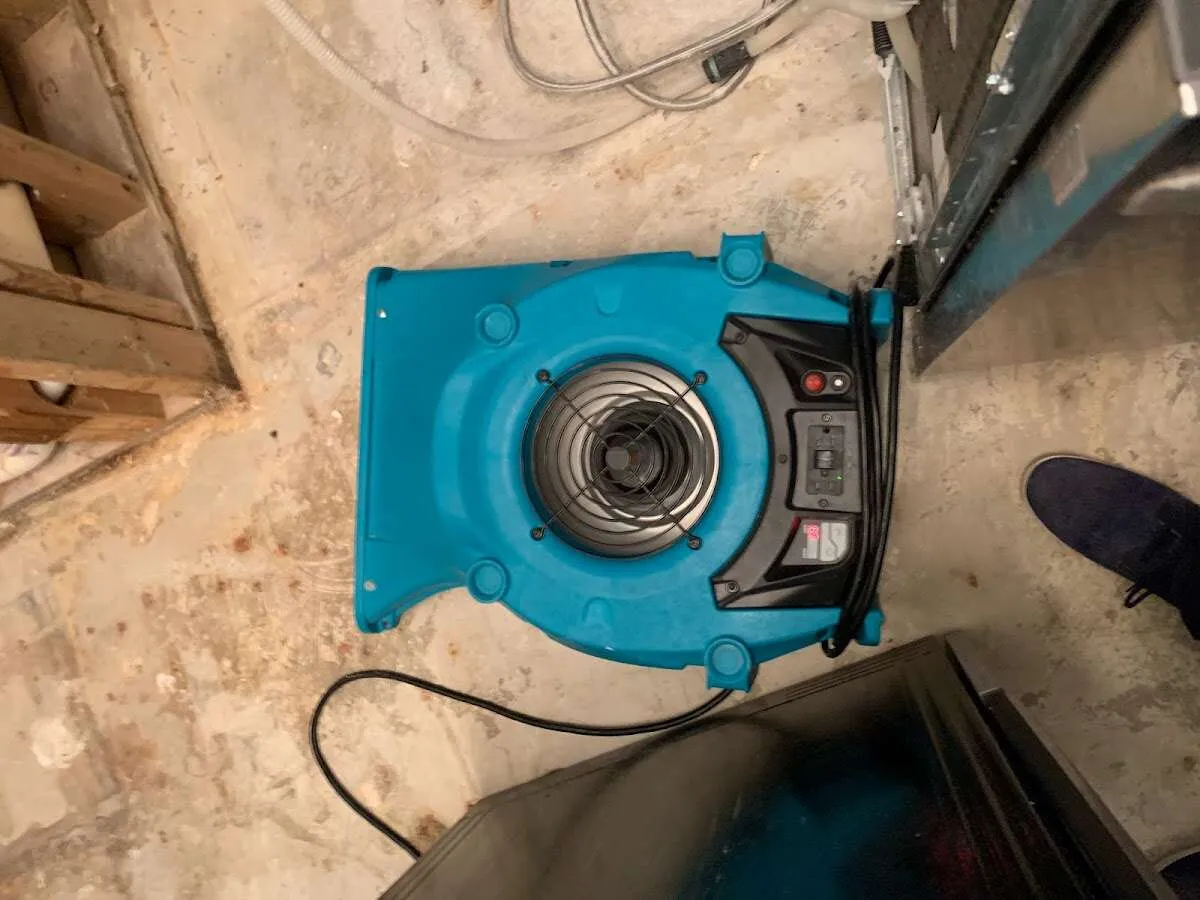 Air mover drying equipment for Mold Remediation & Removal in Mount Horeb